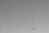 WH2X Image